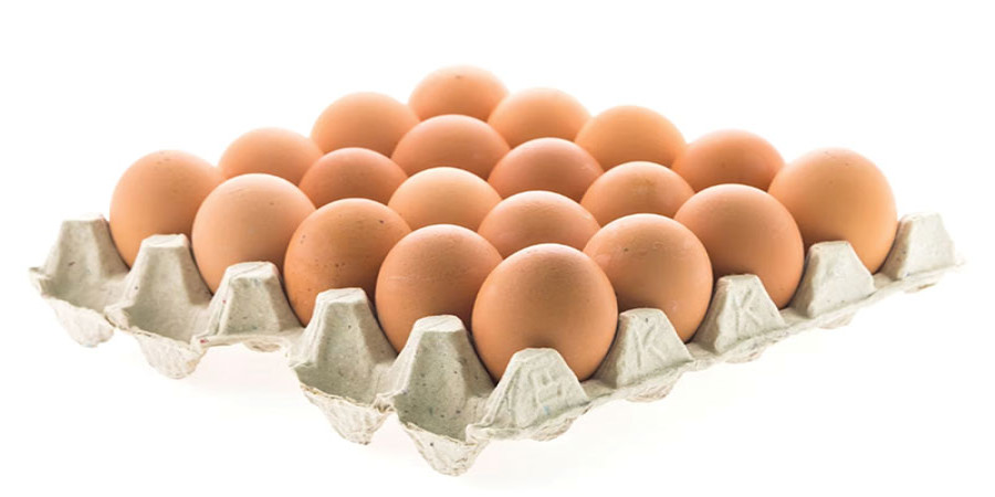 Egg, File photo