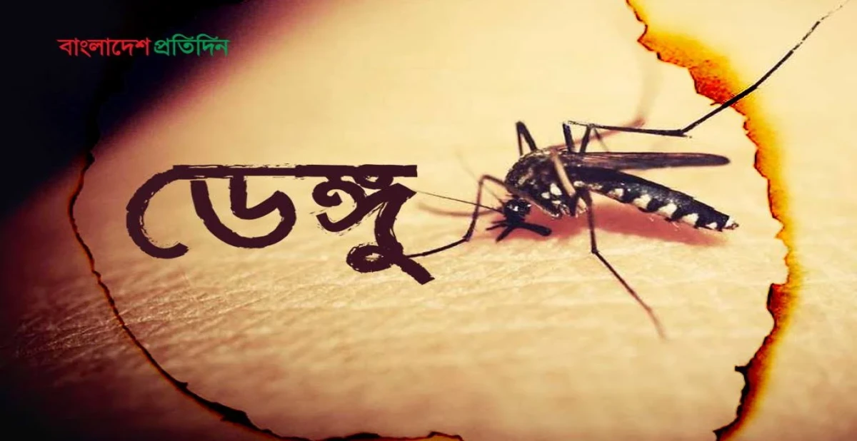ডেঙ্গুতে আরও ৪৯ জন হাসপাতালে ভর্তি, বাড়ছে আক্রান্তের সংখ্যা ছবি: সংগৃহীত